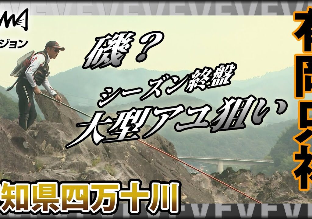 鮎！有岡只祐×四万十川の大型アユ オトリを循環させながらサイズを上げていくテクニックは必見！『YujiStyle』イントロver 【釣りビジョン】その①