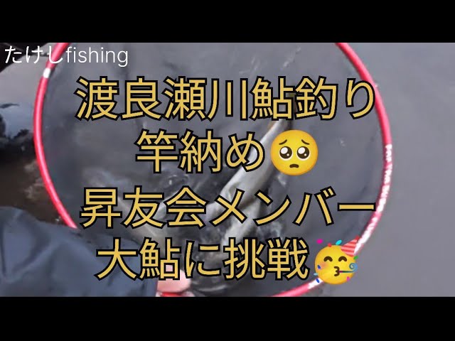 【渡良瀬川鮎釣り】本日竿納め🥺昇友会メンバー大鮎釣り🤯