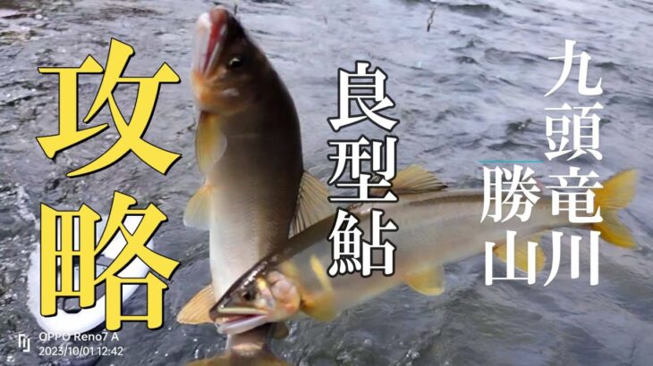 鮎釣り　【野鮎の反応】ポイントを見切る【前アタリ】