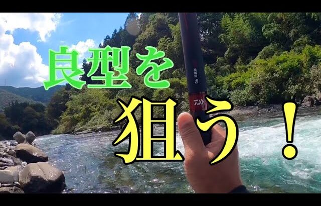 【鮎釣り】ロケーション最高な場所で良型を狙う！