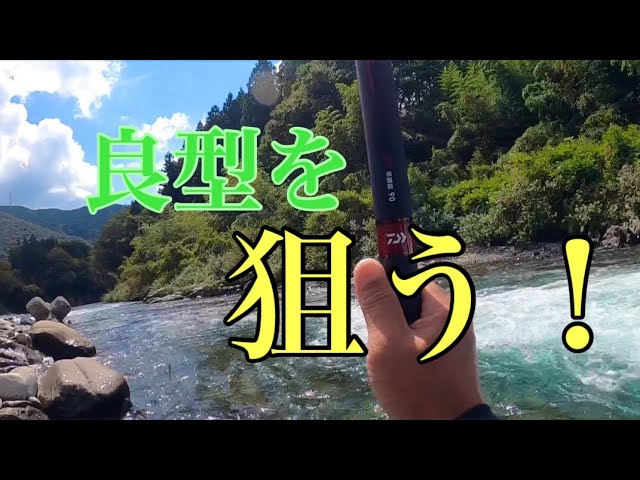 【鮎釣り】ロケーション最高な場所で良型を狙う！
