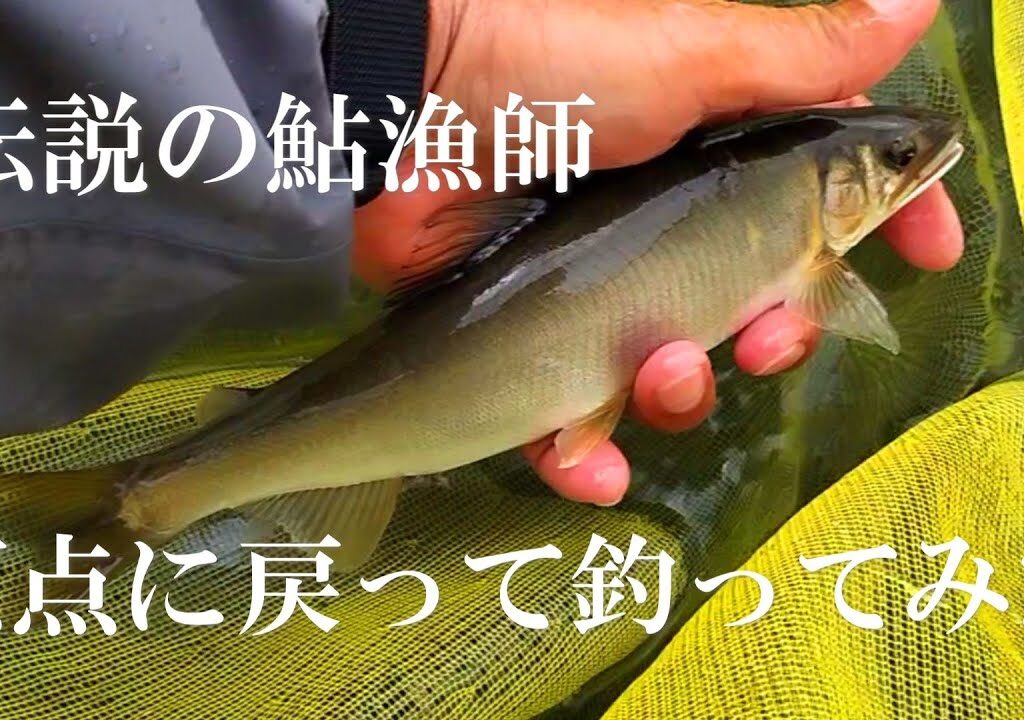 鮎釣り　すべての始まりは矢作川の鮎漁師の釣りだった。