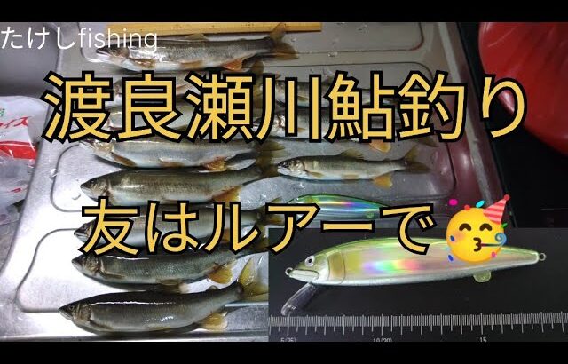 【渡良瀬川鮎釣り】ルアーでオトリを釣る🤗竿納め１日追加😅