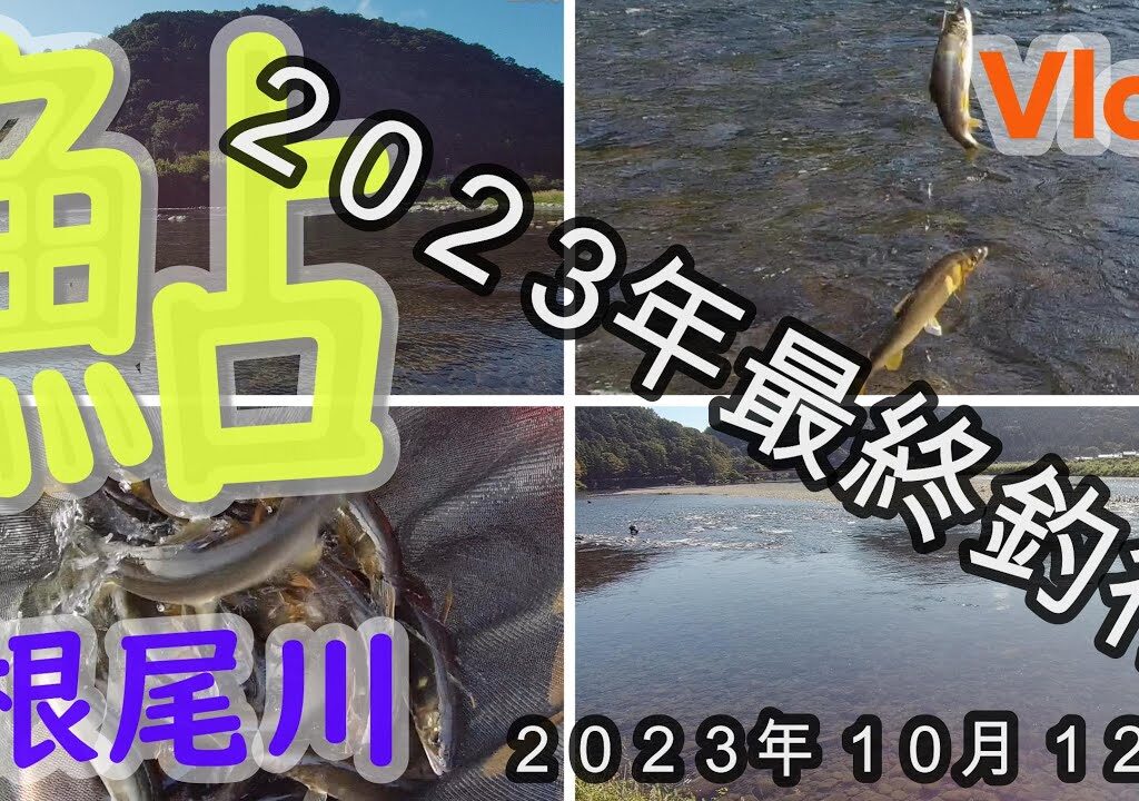 【根尾川】２０２３年最終釣行　２０２３．１０．１２