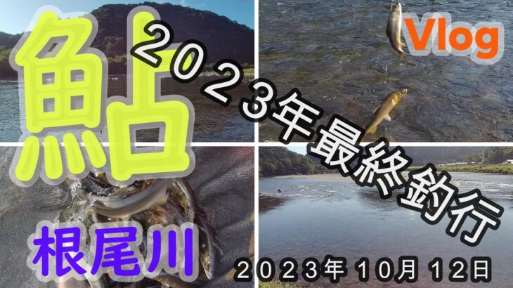 【根尾川】２０２３年最終釣行　２０２３．１０．１２