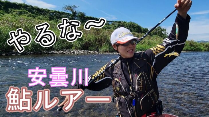【安曇川　鮎ルアー】のべ竿で鮎ルアーフィッシング　盛期ならボコボコ！？　鮎釣り