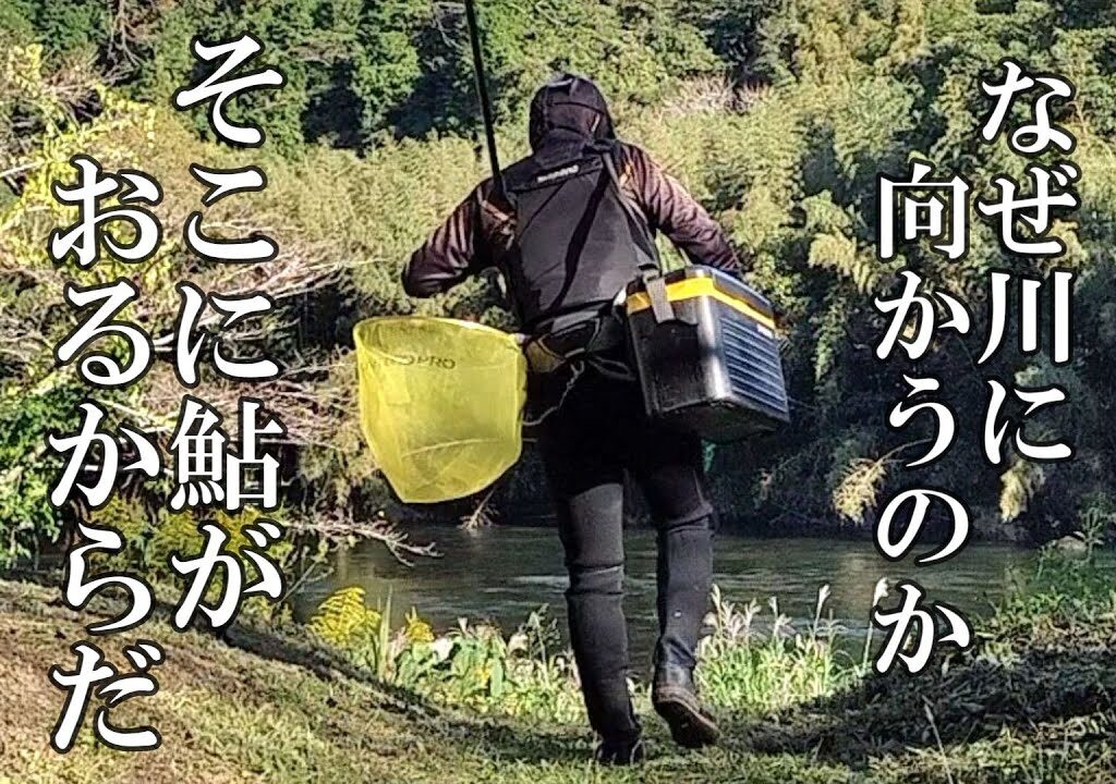 鮎釣り　終盤に覚醒か【マーベラス釣法】