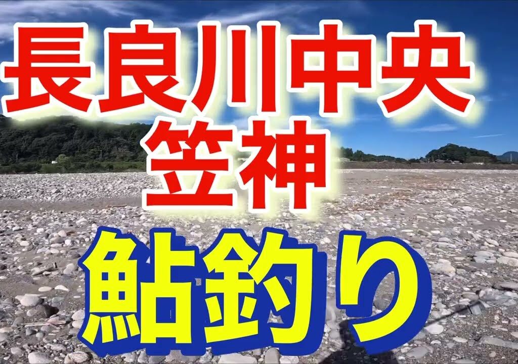 岐阜　長良川中央　笠神　鮎釣り