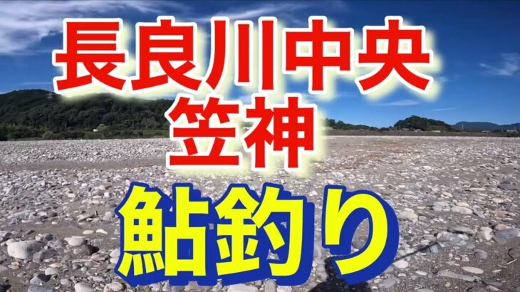 岐阜　長良川中央　笠神　鮎釣り