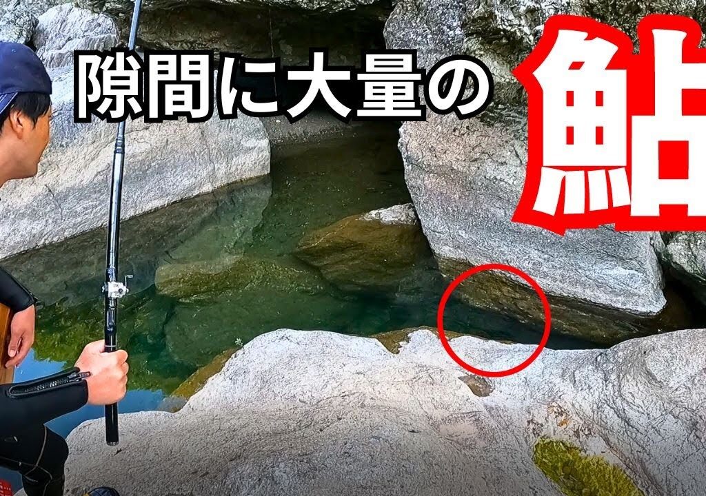 今年最後の鮎釣りへ！オレンジに色づいた落ち鮎を狙う