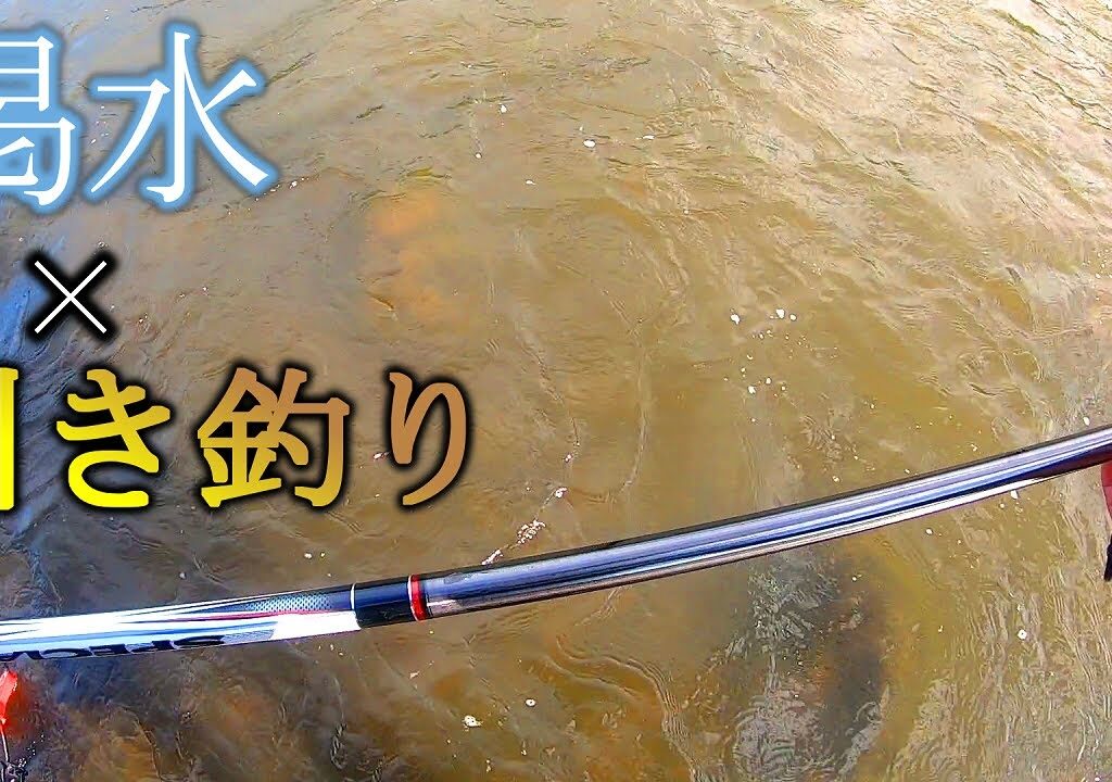 【鮎釣り】どんなに渇水でも引き釣りの方が釣れる場合もある　鳴瀬川