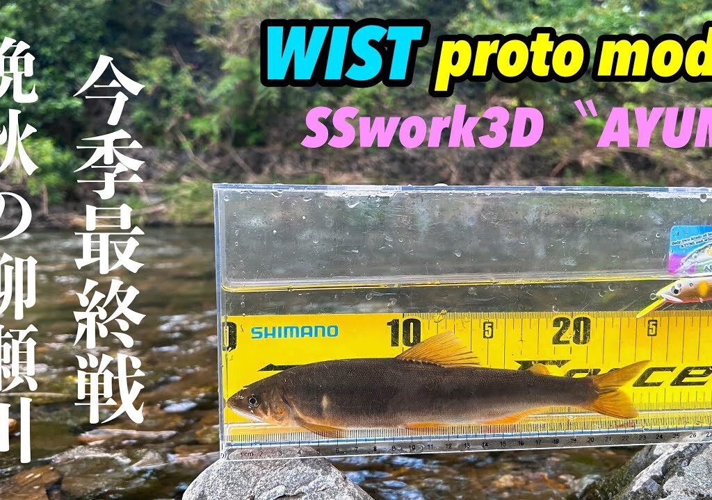 【柳瀬川アユイング】今季最終戦❓まだまだイケる良型多し柳瀬川