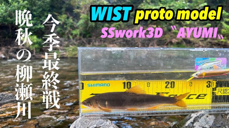 【柳瀬川アユイング】今季最終戦❓まだまだイケる良型多し柳瀬川