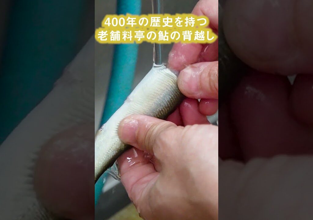 残したい日本の伝統料理 鮎の背越し| 平八茶屋 | #日本料理 #鮎 #背越し #伝統継承