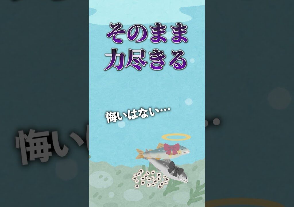 むごいやり方で捕まる魚【アユ】
