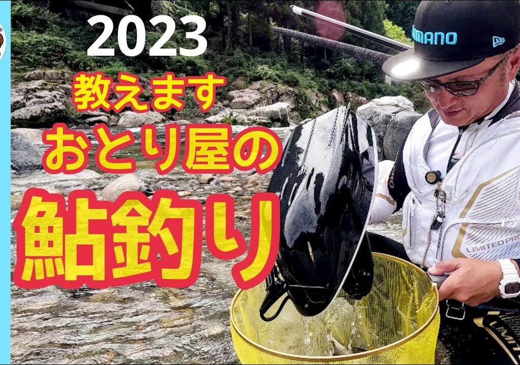 【鮎釣り2023】教えます！おとり屋の鮎釣り！板取川上流