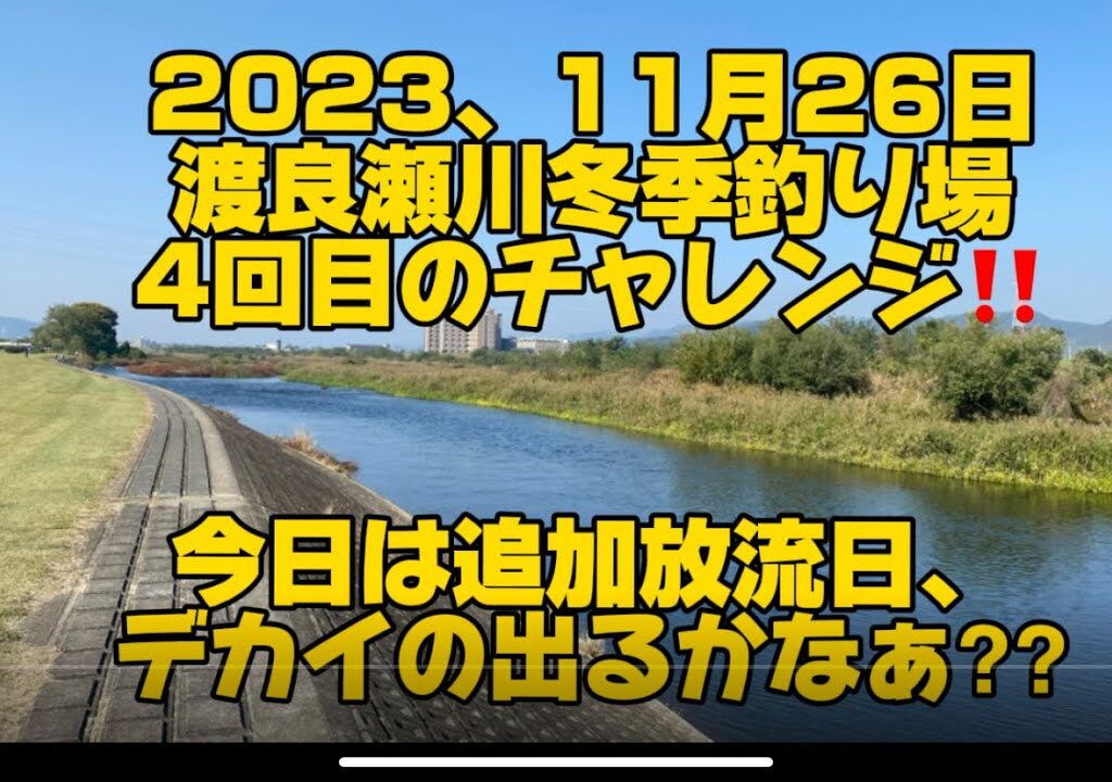 2023、11月26日、渡良瀬川冬季釣り場、4回目のチャレンジ‼️#釣り #虹鱒 #トラウト #サンライン#サンテック #渡良瀬川冬季釣り場#栃木県足利市