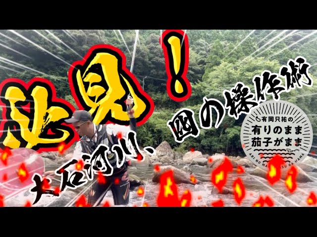 【鮎釣り】2023/8/31  狙って誘って掛ける