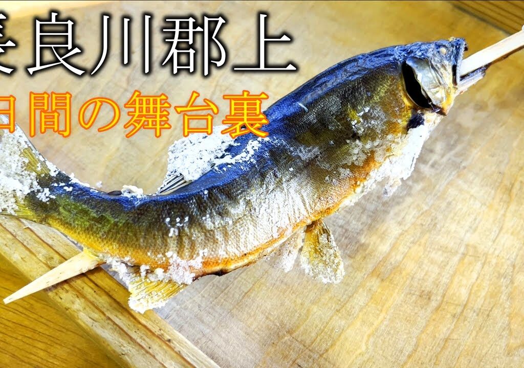 【鮎釣り】長良川郡上で全国応援4日間の舞台裏
