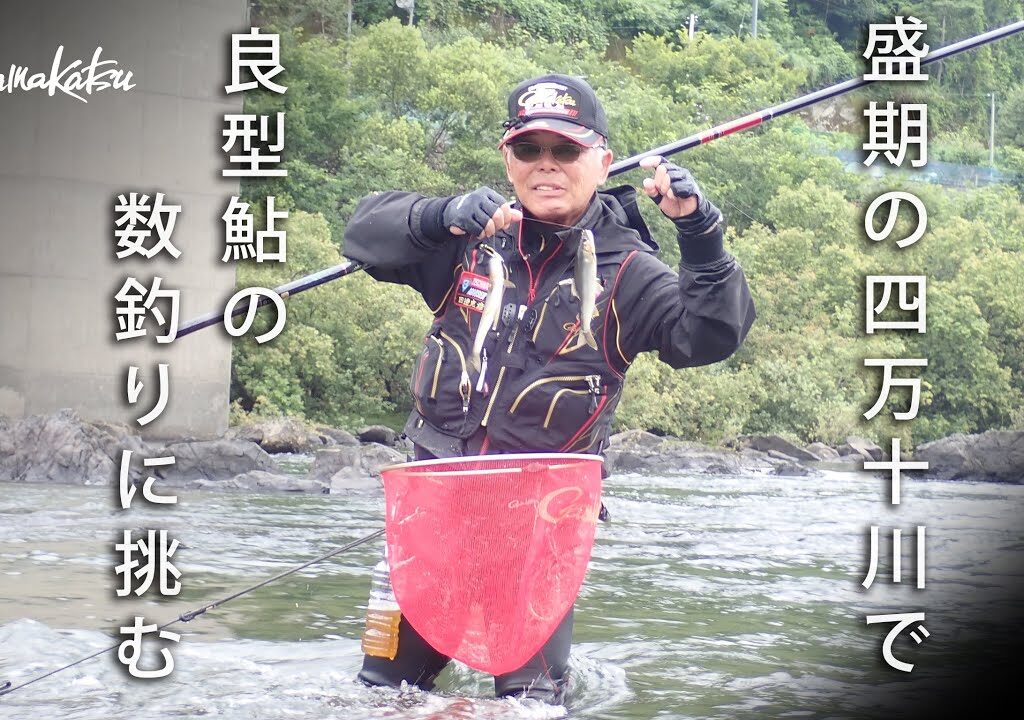 【G WORLD】#34　盛期の四万十川で良型鮎の数釣りに挑む