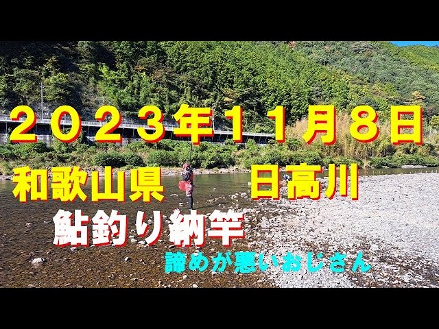 鮎釣り　日高川２０２３．１１．８．納竿釣行、サイズバラバラですが、掛かりました！まだ釣れそうな・・・
