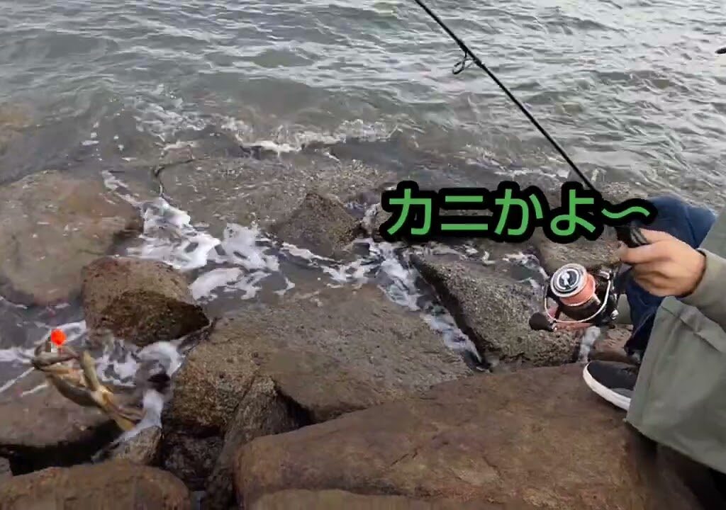 お久しぶりです！初冬の海で穴釣り＆投げ釣りしてきました！