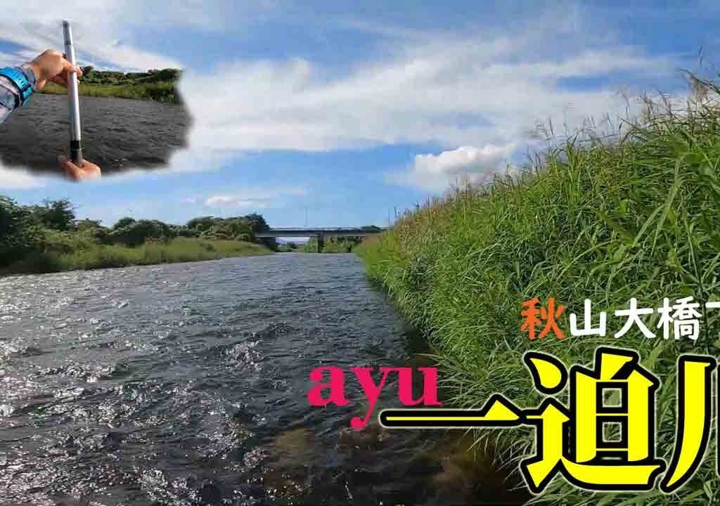 【鮎釣り】秋空の下、一迫川でひとり気ままに鮎を釣る。