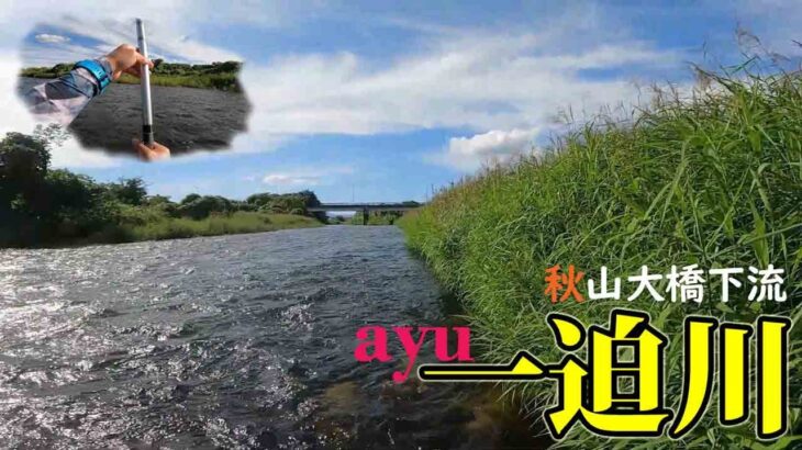 【鮎釣り】秋空の下、一迫川でひとり気ままに鮎を釣る。