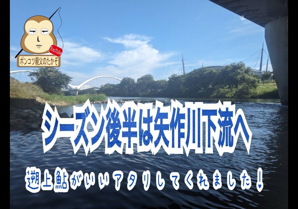 ポンコツ親父の鮎釣り