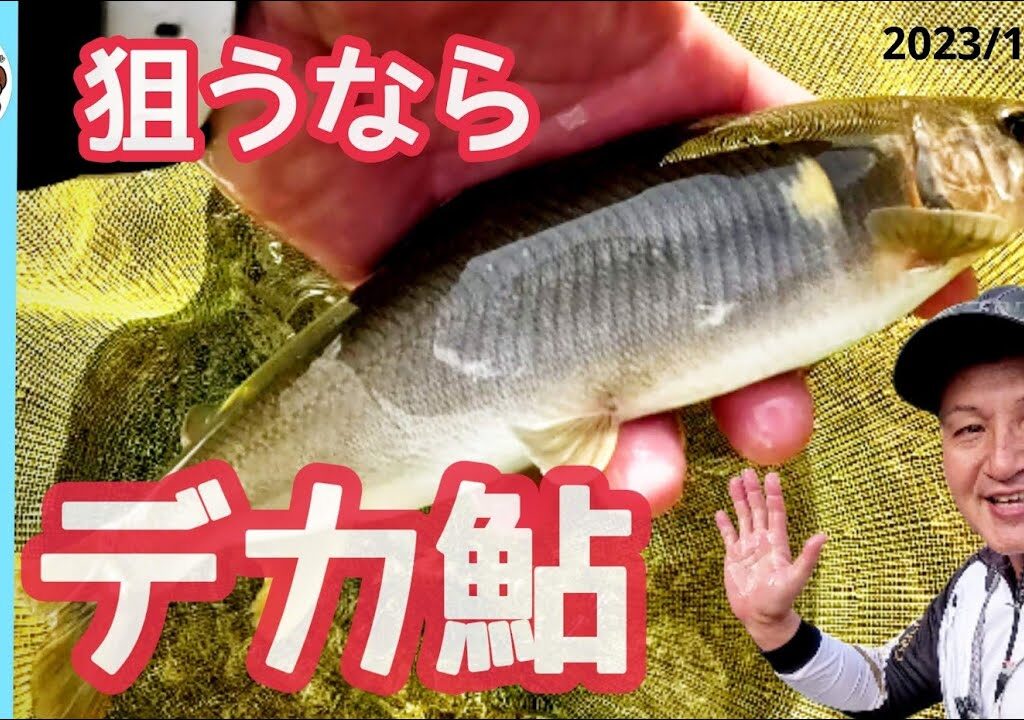 【鮎釣り2023】狙うならデカ鮎！長良川中央＃猿渡俊昭