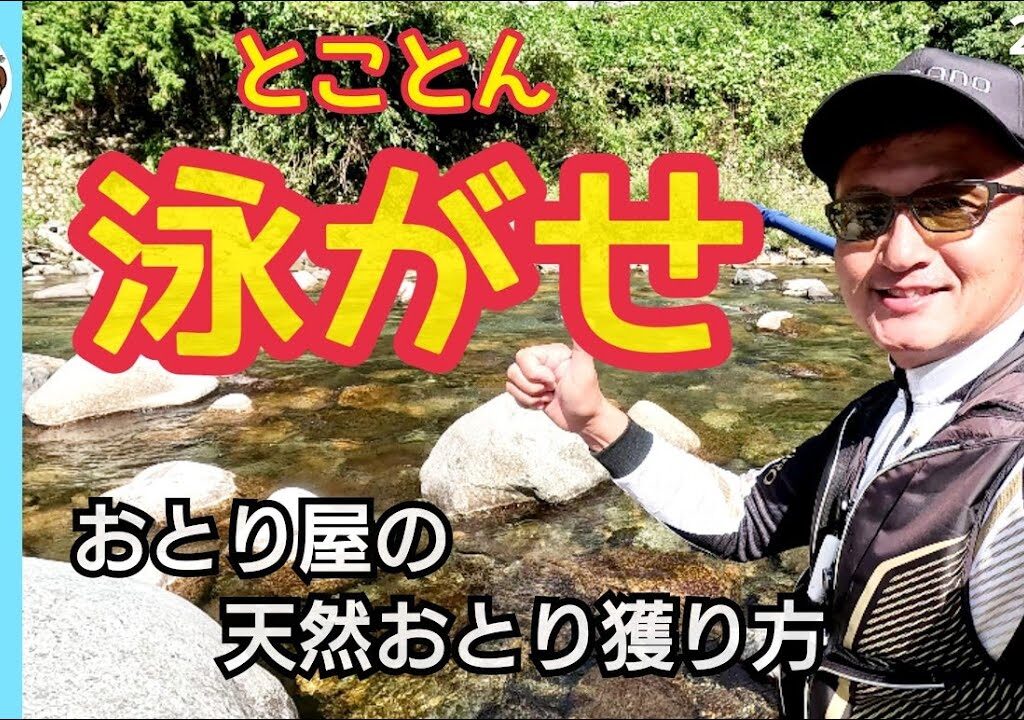 【鮎釣り2023】泳がせ釣りで！おとり屋の天然おとり獲り方！