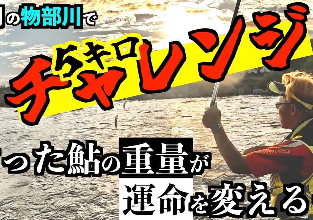 【鮎釣り2023】総重量５キロチャレンジ！シーズン終盤の物部川で納竿してきた！