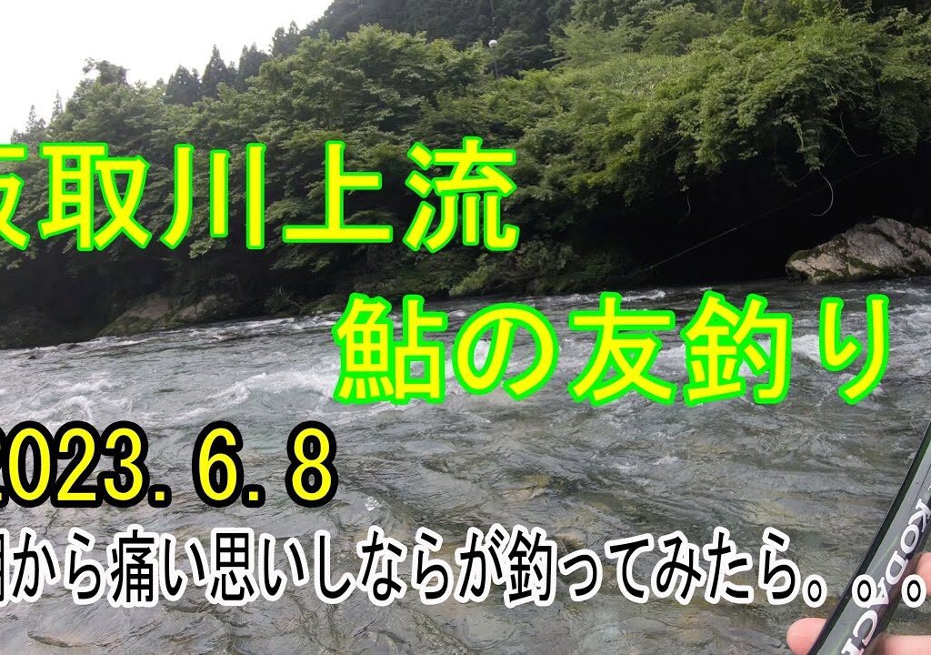 2023.6.8板取川上流　鮎の友釣り