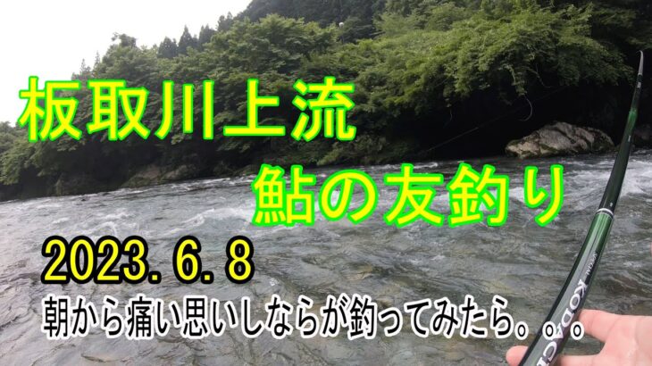 2023.6.8板取川上流　鮎の友釣り