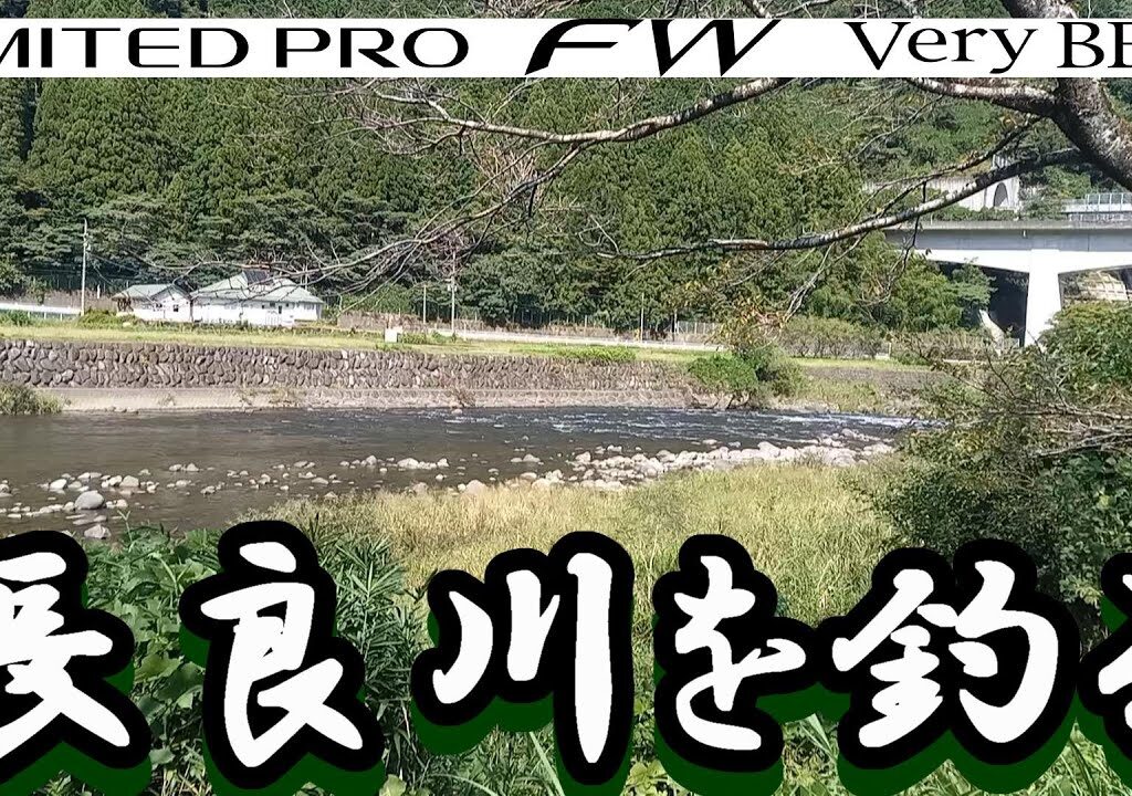 鮎釣り 渇水垢ぐされ 釜淵橋 七ツ石 長良川  2023年9月19日