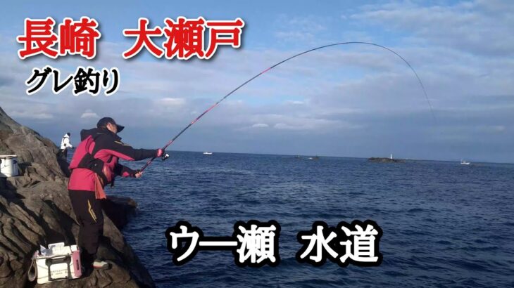 大瀬戸でグレ釣り！2023年の締めくくり。【瀬渡しRyusei】