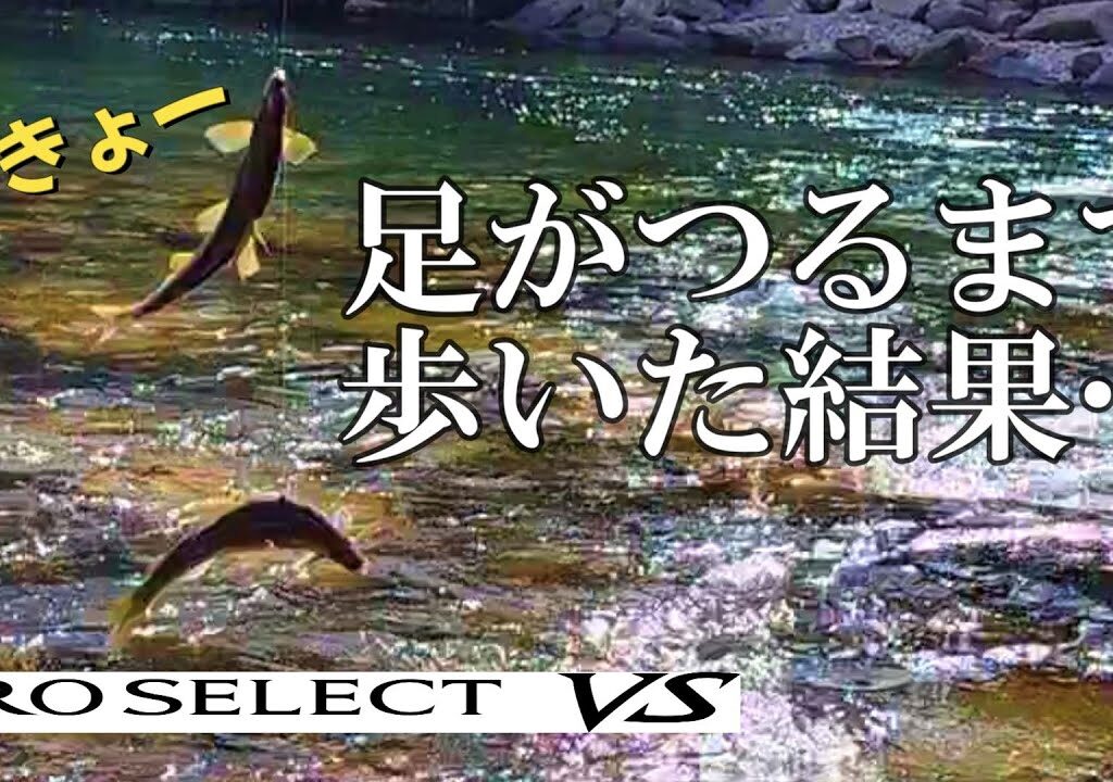鮎釣り2024　ハイシーズンの良型鮎を追う【プロセレクトVS H85】
