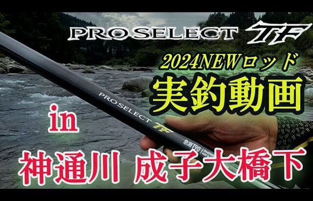 #70【NEWロッド紹介 第２弾】プロセレクトTF in 神通川　成子大橋下★鮎入れ追い