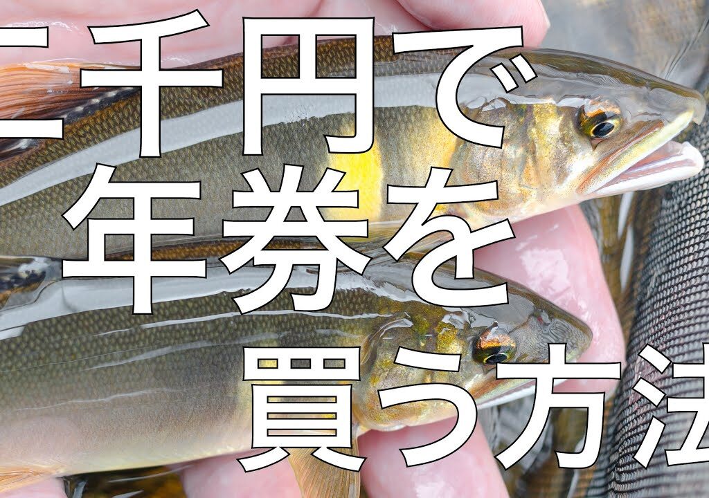 まだ間に合う！！鮎釣りor渓流釣りの年券を二千円で買う方法