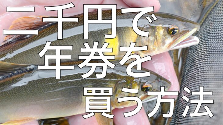 まだ間に合う！！鮎釣りor渓流釣りの年券を二千円で買う方法