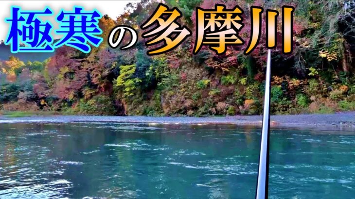 増水と濁りと極寒の多摩川で渓流釣りするとこうなる