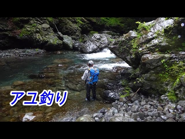 当りに続く締込みが、他には変えがたい釣趣であった。