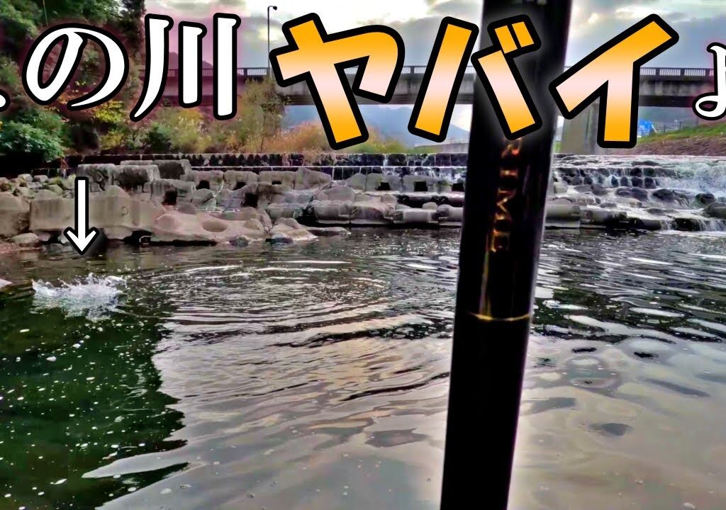 冬季マス釣りでこんな状況は初めて。【早川】