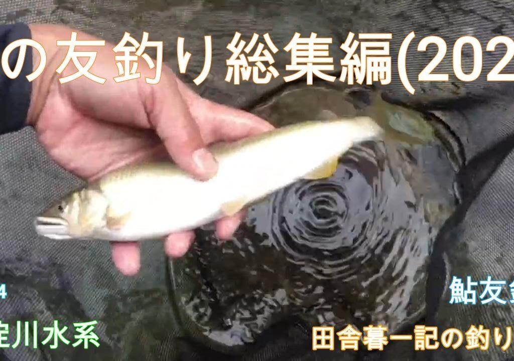 鮎の友釣り総集編（２０２３）/ 田舎暮一記の釣り日記