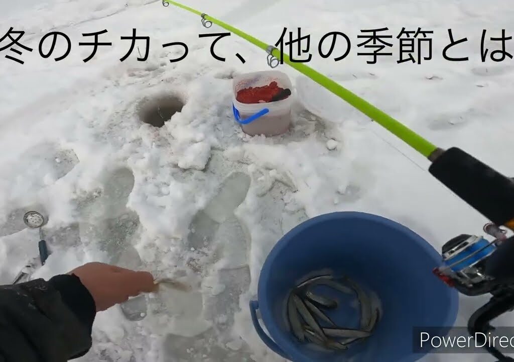 卯原内川で今シーズン初釣行！