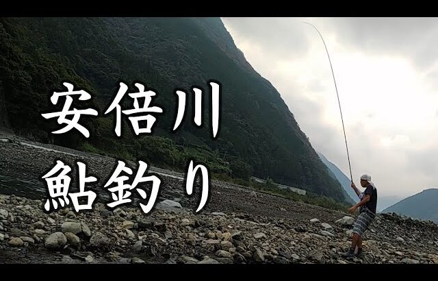 安倍川、鮎釣り。夏