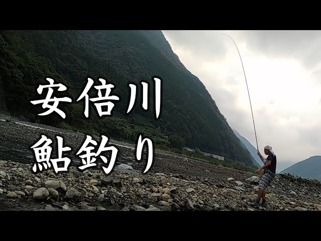 安倍川、鮎釣り。夏