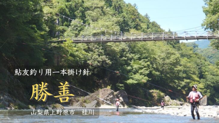 【鮎掛け針】友釣り用一本針「勝善」商品紹介　山梨県上野原市
