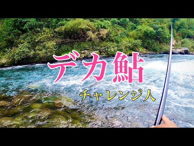 【鮎釣り】デカ鮎求めて！ポイントチェンジは通用するのか？