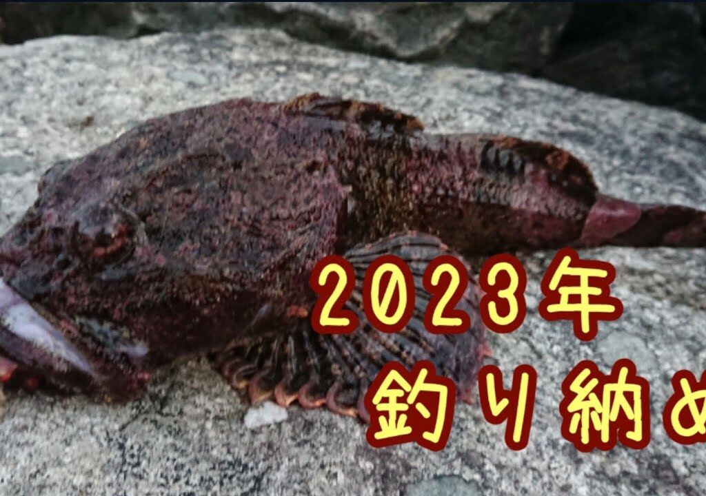 岩手 三陸 田老、宮古 “防波堤釣りで  2023年の釣り納め” チカ居るよ♪